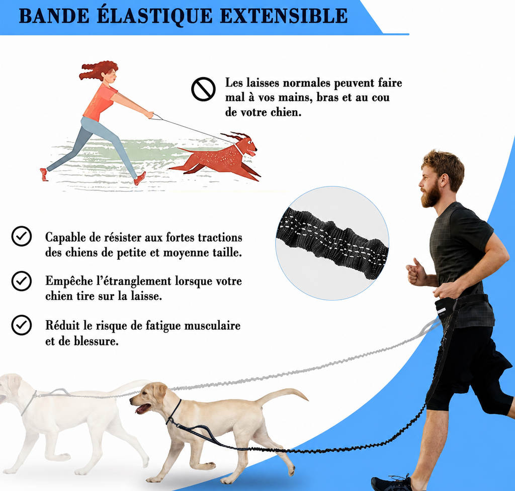 Laisse Mains Libres pour Chien