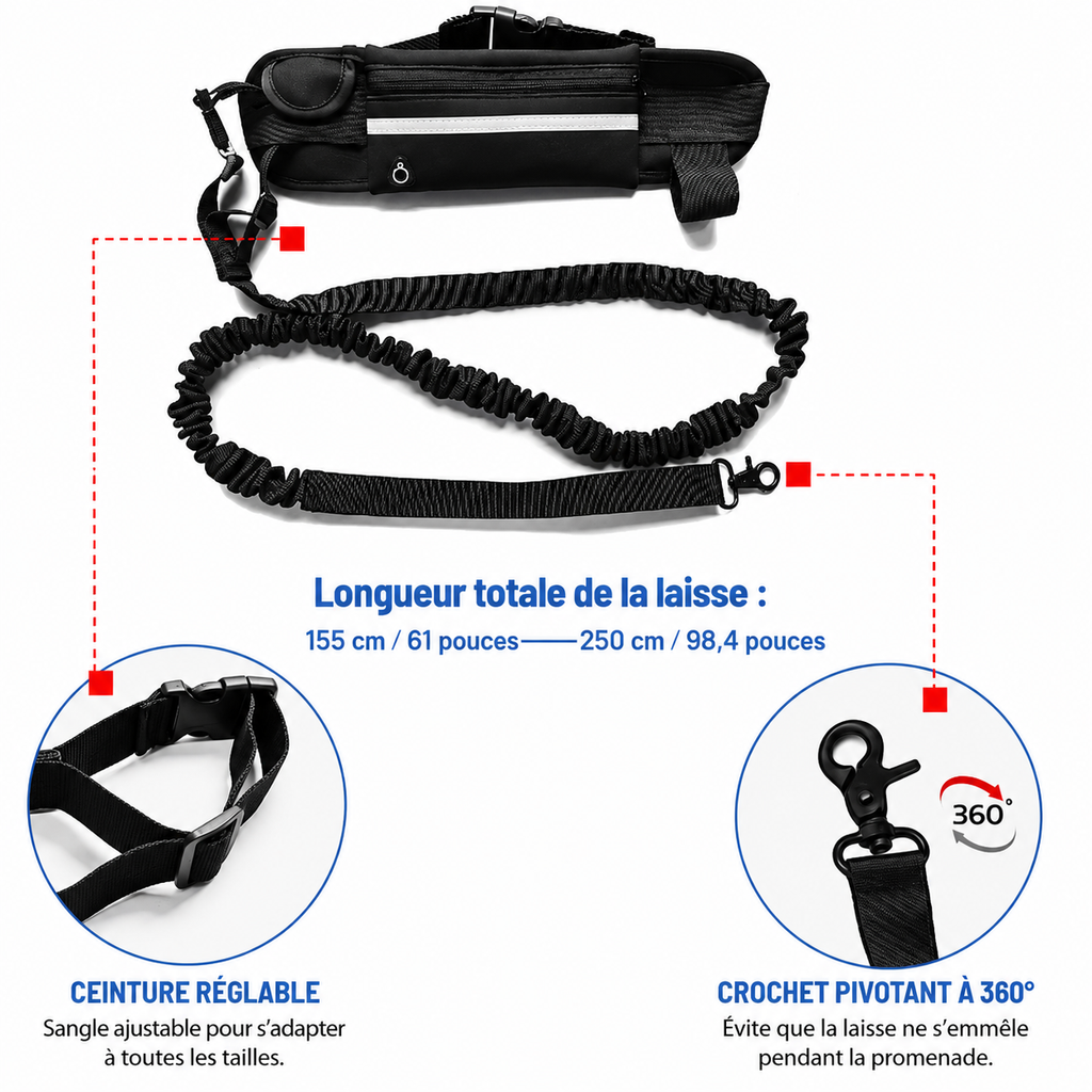Laisse Mains Libres pour Chien