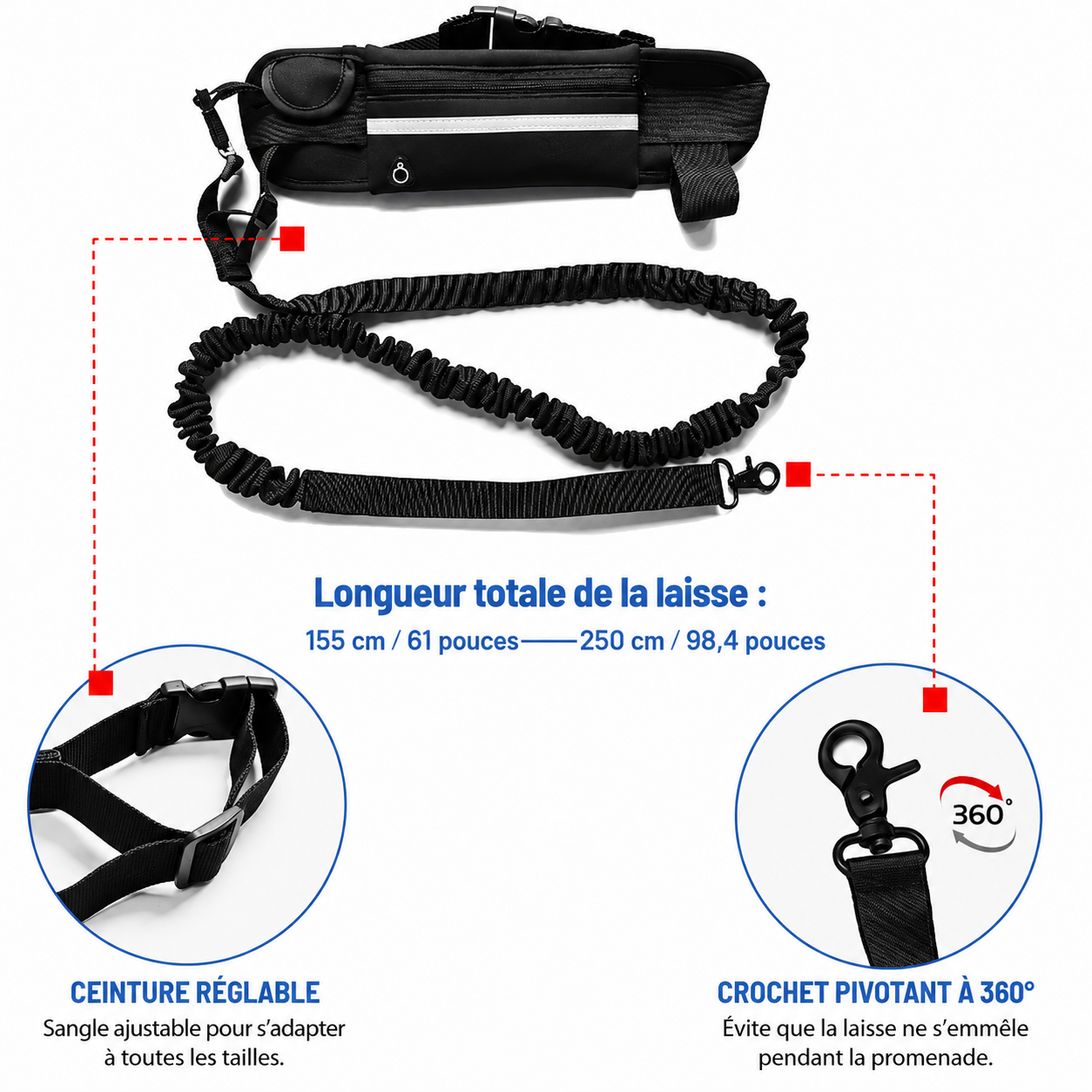 Laisse Mains Libres pour Chien