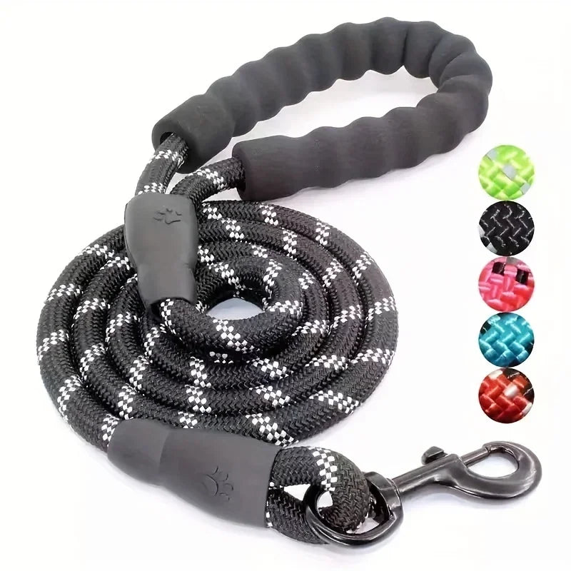 Laisse pour chien