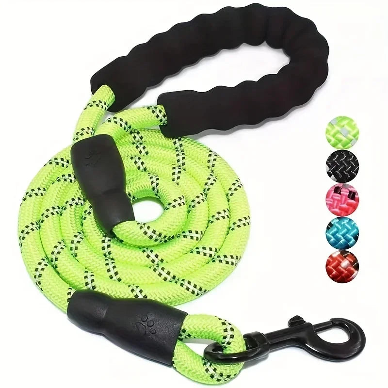 Laisse pour chien