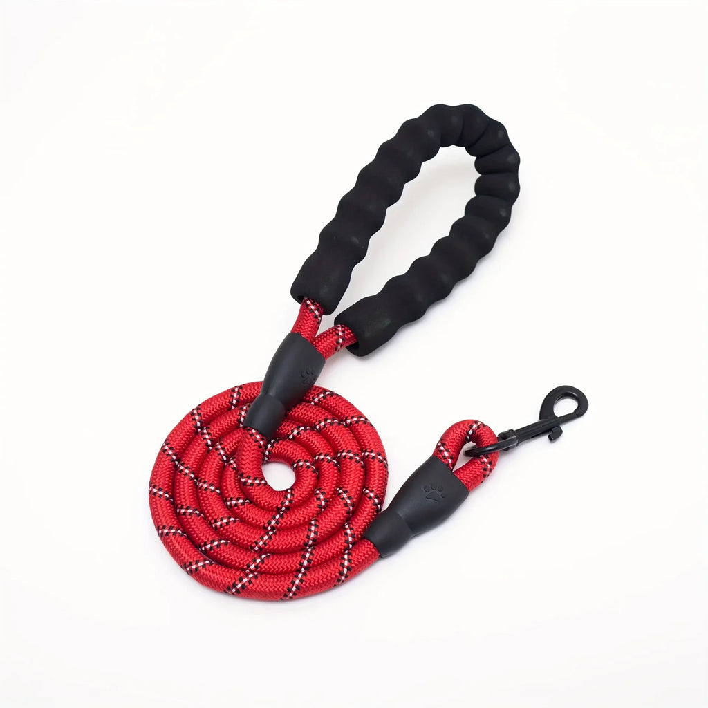 Laisse pour chien