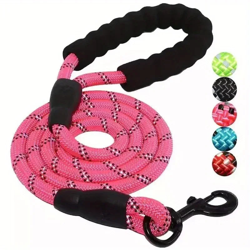 Laisse pour chien