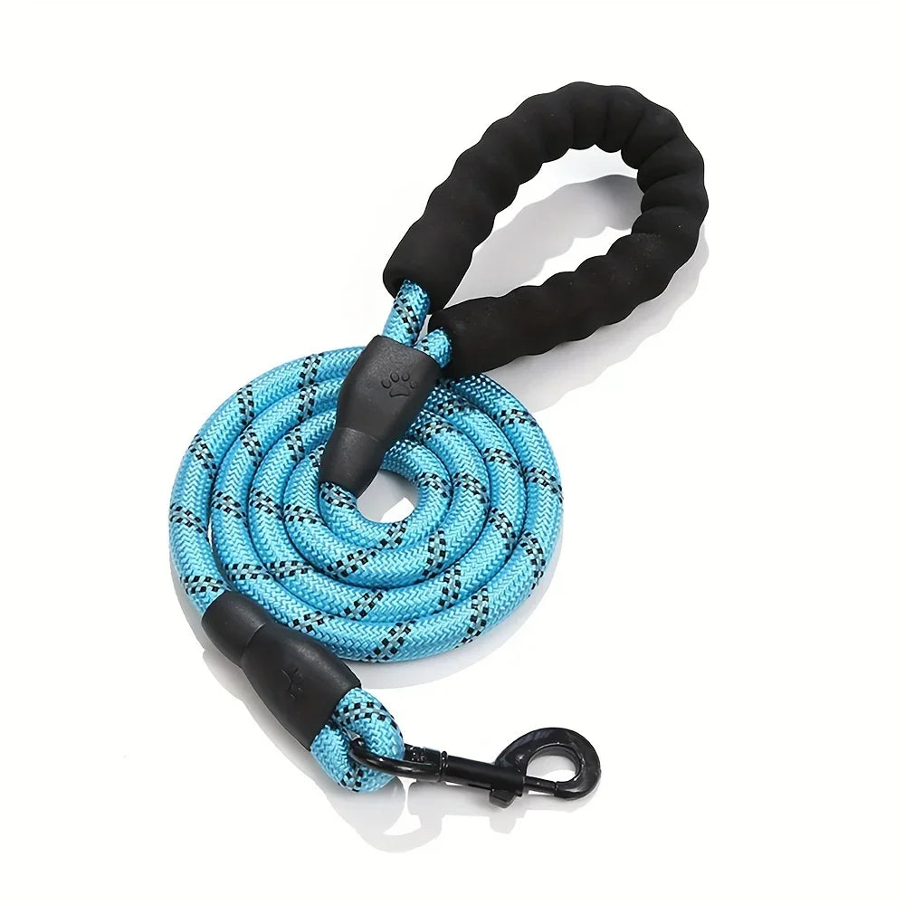 Laisse pour chien