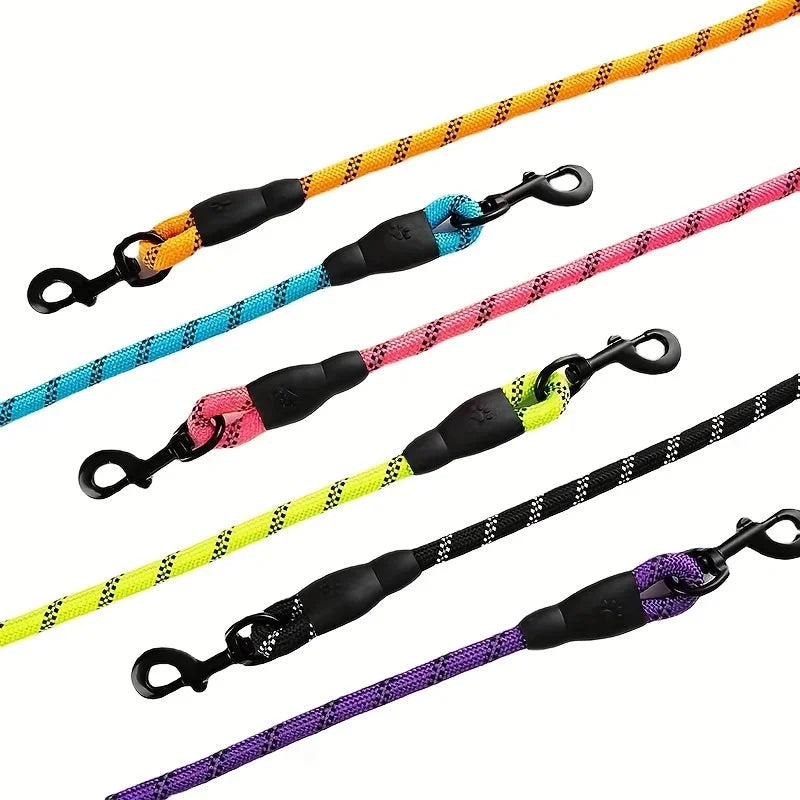 Laisse pour chien