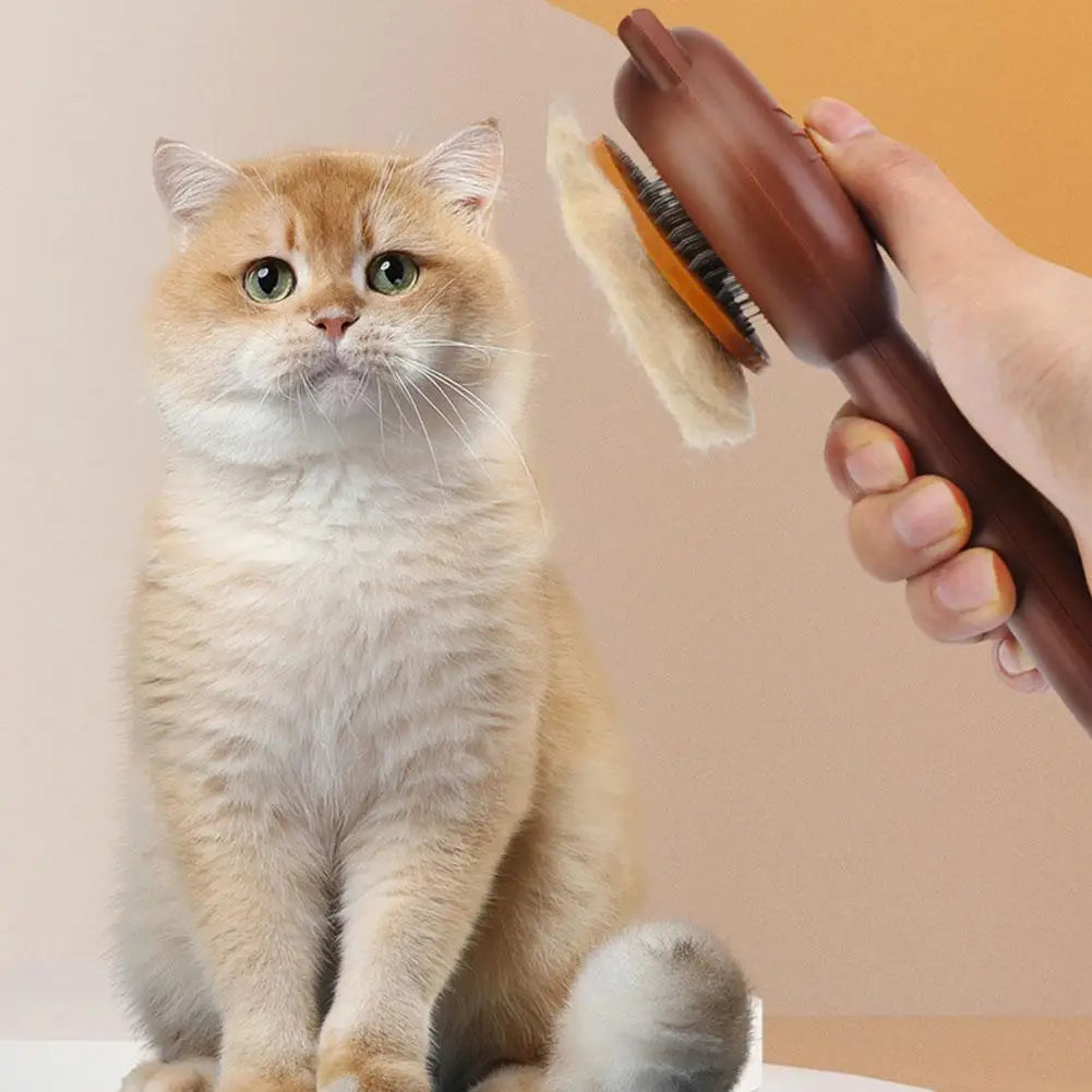 Brosse de toilettage pour chat