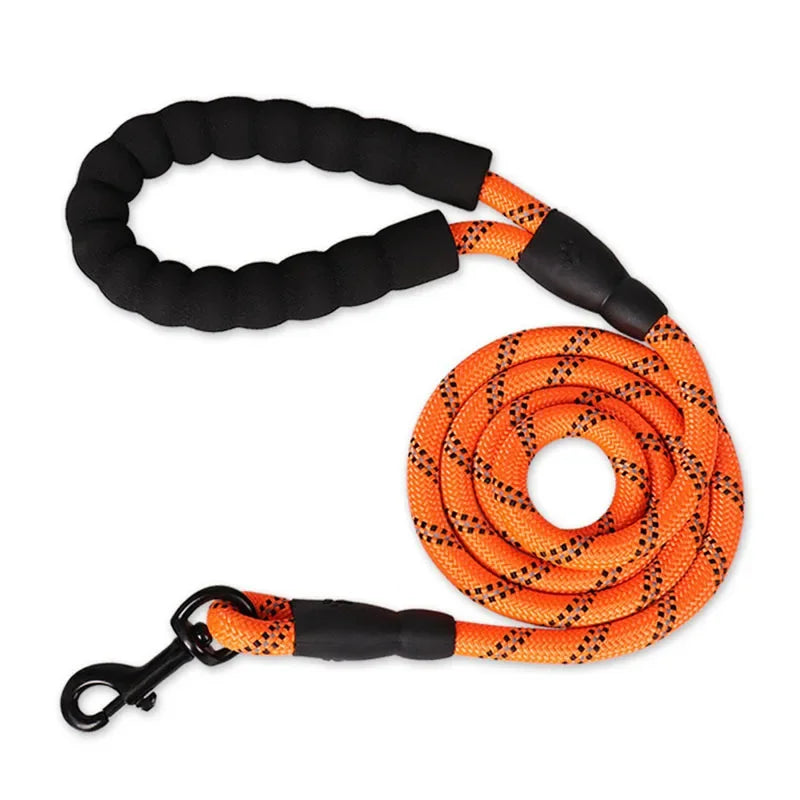 Laisse pour chien