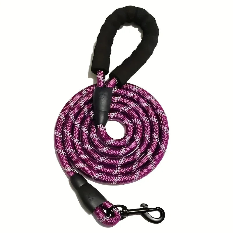 Laisse pour chien
