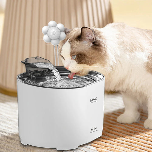 Fontaine pour chat